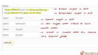 The difference in deoxyribose and ribose sugar is in the [upl. by Ynhoj]