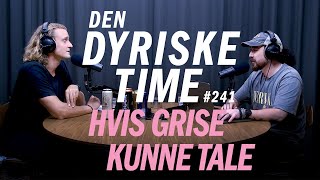 Hvis grise kunne tale  Den Dyriske Time Podcast  Episode 241 [upl. by Liza]