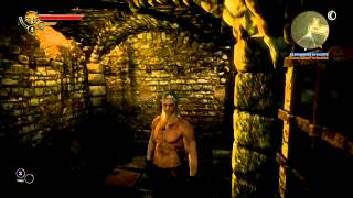 The Witcher II7 il fait tout noir PlaythroughFR [upl. by Dleifrag445]