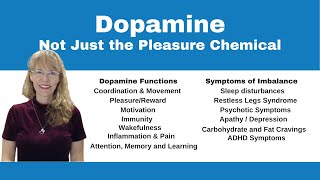 Demystifying Neurotransmitters Serotonin Dopamine and Beyond [upl. by Franciskus]