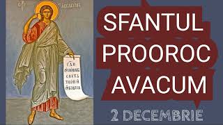 SFANTUL PROOROC AVACUM  2 decembrie [upl. by Eitsym363]