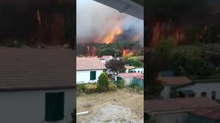 Anglet 64  grave incendie dans la forêt de Chiberta [upl. by Aciret]