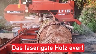 Das erste Mal dass ich dieses Holz auf dem Sägewerk habe [upl. by Aniuqahs]