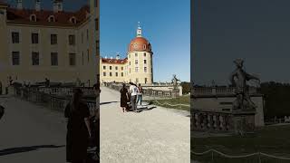 Moritzburg Castle germany dresden shortsvideo youtubeshorts shorts castle trending tourist [upl. by Zebadiah]