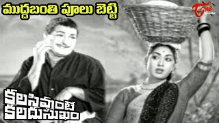 NTR Old Songs  Kalasi Vunte Kaladu Sukham  Mudda Banthi Poolu Song NTR Savitri Old Telugu Songs [upl. by Kaylyn653]