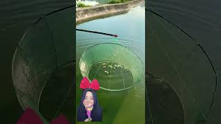 SEMANGKA UNTUK UMPANNYA IKAN ⁉️🍉🐠 shorts funny dubbing [upl. by Thurlow]