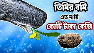 তিমির বমি । সাগরে ভাসতে থাকা তিমির বমির কোটি টাকা দামের কারন কি  Current Affairs [upl. by Mellisent]