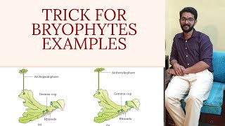 BRYOPHYTES EXAMPLESTRICK [upl. by Ylaek]