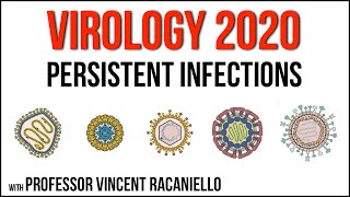 Virology Lectures 2020 17 Persistent infections [upl. by Aizatsana]