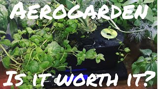 Aerogarden Full 3 Month Review w tips [upl. by Ater]