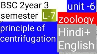 BSC 2nd year 3 semester zoology topic principle of centrifugation HindiEnglish [upl. by Hehre282]