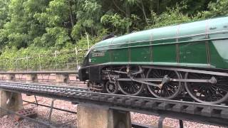 5quot 725quot amp Gauge 1 Pacifics Playday Nottingham SMEE 2014 [upl. by Midge]