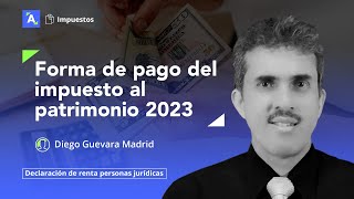 Forma de pago del impuesto al patrimonio 2023 [upl. by Nylorac]