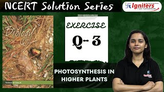 Exercise Q3  Photosynthesis in Higher Plants  Class 11  NCERT Solution Series  BIOLOGY [upl. by Adalia559]