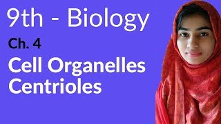 9th Class Biology  Ch 4  Explain Centrioles  Matric Part 1 Biology [upl. by Gnilrits]