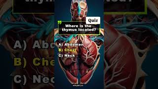 HUMAN BODY QUIZ 🧠🧠⁉️ facts neetmcq importantquestionsanatomysciencequizscienceshortsviral [upl. by Brian]