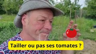 Comment je taille mes tomates  Faut il tailler ses tomates [upl. by Dat]