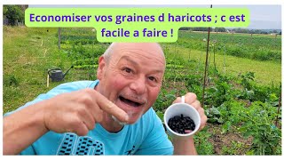 Economiser vos graines d haricots  Comment faire vos graines dharicots verts [upl. by Thalia]