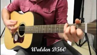 A few chords on the Walden D560 [upl. by Meit452]