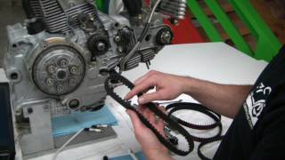 pt 1 Ducatitechcom quotHowToquot Ducati 1000DS Timing Belt Change [upl. by Anigroeg]