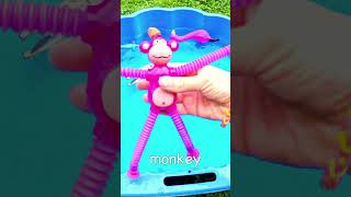 Learn Animal Names for Kids Flamingo Chameleon Gecko Giraffe Monkey Alpaca Koala [upl. by Jain]