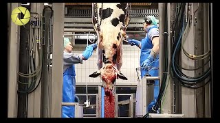 Inside The Meat Processing Plant  Inside The Food Factory  Incredible Process Worth Watching HD [upl. by Yehudi]