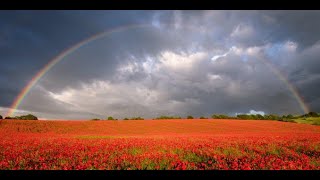 Two Minutes of Silence  a poem for Armistice Day 2024 [upl. by Annaliese649]