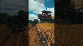 Harvester whatsapp status tamilvivasayam farming harvest agriculture aruvadai farmer paddy [upl. by Corissa915]