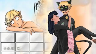 Chat Noir Will Have A New Skin Miraculous Ladybug Comic Dub [upl. by Dnomde949]