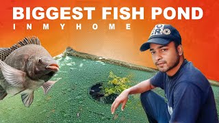 biggest fish pond in my home  guys clean panyachu fish pond ah  fish refarming Ep 3 [upl. by Berri]