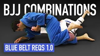 Blue Belt Jujutsu Combinations [upl. by Huntingdon763]