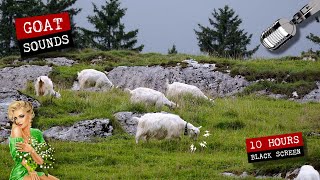 Goats in the meadow 🐐 10 hours of goat sounds [upl. by Eerized715]