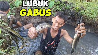 menangkap ikan gabus di parit pemancing menangis [upl. by Aieki]