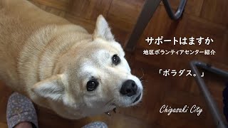 【ボラダス。】看板犬が可愛すぎた！！茅ヶ崎で最初に出来た 地区ﾎﾞﾗﾝﾃｨｱｾﾝﾀｰ に行ってみた。（ｻﾎﾟｰﾄはますか） [upl. by Colon]