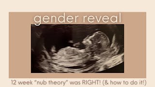 How our 12 week ultrasound showed baby’s gender Nub theory worked  GENDER REVEAL [upl. by Kalinda]