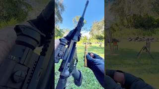 50 BMG Raptor 50 vs DA Targets [upl. by Peih]