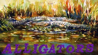 ALLIGATORS [upl. by Larry]