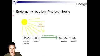 Exergonic vs Endergonic Reactions [upl. by Susy]