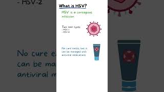 HERPES SIMPLEX VIRUS EXPLAINED [upl. by Nive]