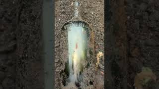 40oz green whisky flask victorian found bottle digging Glasgow Scotland [upl. by Clarey499]