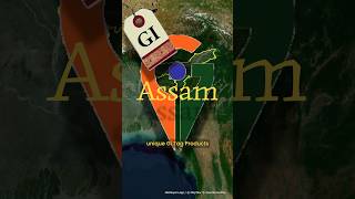 AWESOME ASSAM  Unique Gi Tag 🏷️ Products [upl. by Malcah]