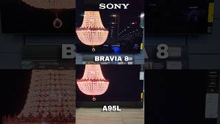 SONY BRAVIA 8 VS A95L 77quot OLED VS QDOLED TV BATTLE SONYBRAVIA8 A95L BRAVIA8VSA95L [upl. by Oiraved]