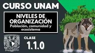 🌱 Niveles de organización ecológicos  Población comunidad y ecosistema  Biologia  CURSO UNAM [upl. by Atsok583]