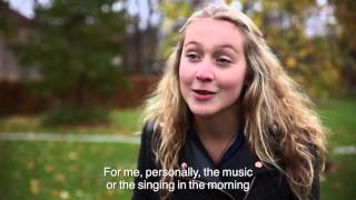 European students about the Danish Folk High Schools Højskole [upl. by Baal186]