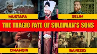 The Tragic Fate of Sultan Suleimans sons mustafa mehmed bayezid cihangir selim [upl. by Galer878]