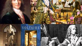 Voltaire 16941778 [upl. by Ytinirt527]