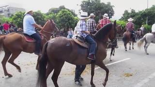 Cabalgata Horse Parade at the Feria de las Flores Flower Festival in Medellin Colombia [upl. by Rialcnis]