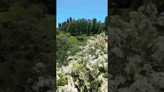 Parcelas en Bulnes Chillán con Agua y Luz [upl. by Marchak]