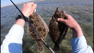 Shore Wading for Summer Flounder Fluke  Lots of Fish [upl. by Borras]