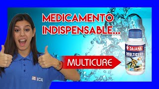 Cura múltiples enfermedades de tus peces con MULTICURE  Tratamiento salva vidas [upl. by Ahseiyk]